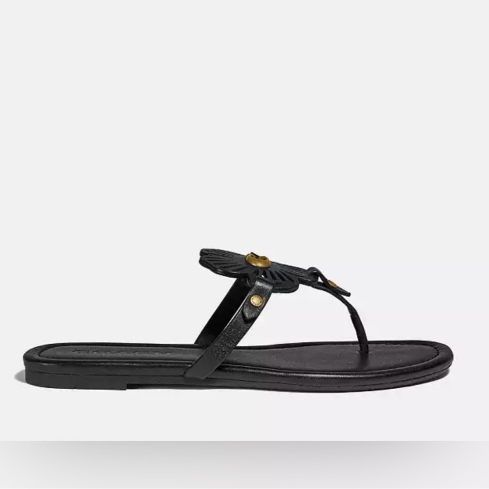 Coach Black Sandals with Sleek Design - Picture 7 of 13